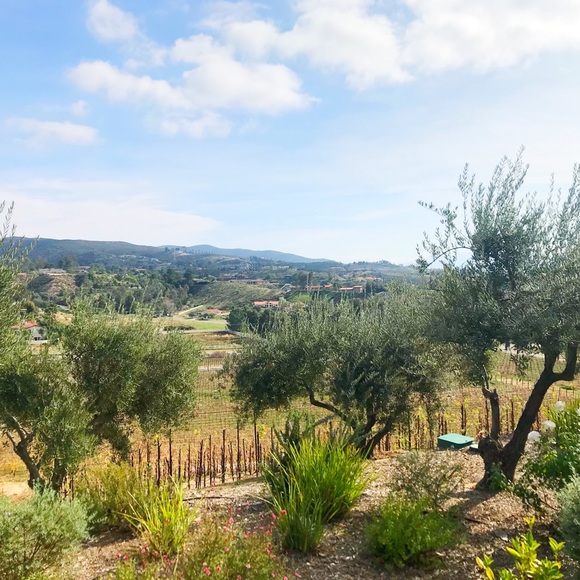 ✨Meet • Me✨ - Picture 5 of 5